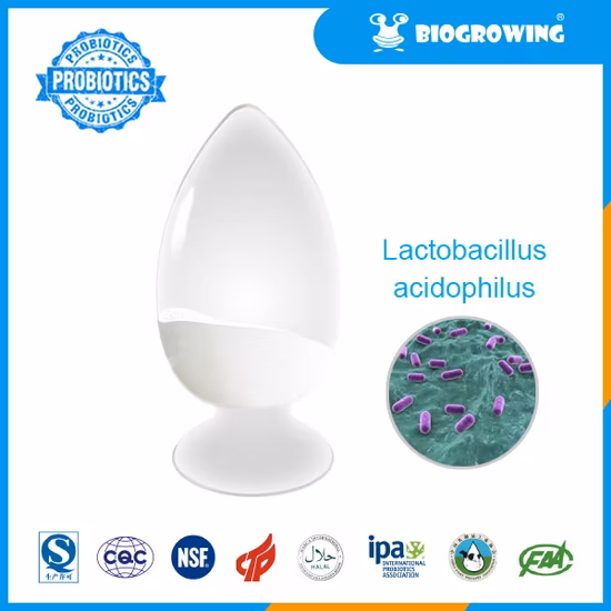 Yogurt Additive Natural Fermentation Live Lactobacillus Probiotics