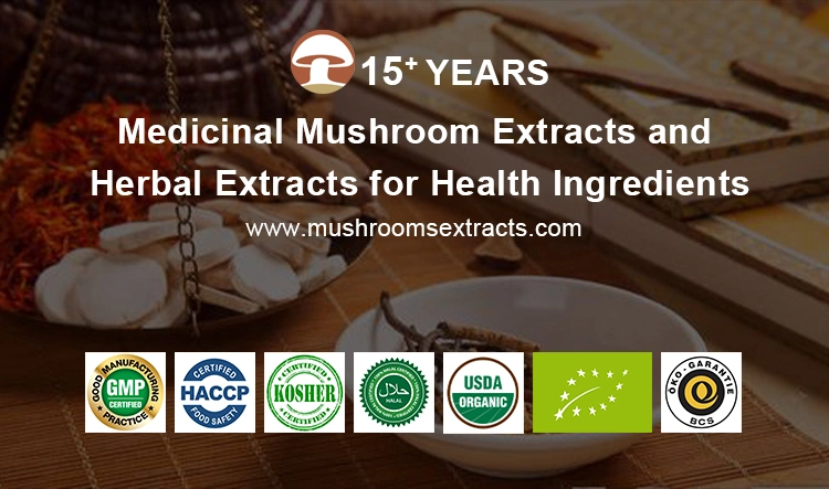 Organic Hericium Erinaceus Mushroom Plant Extract Lion&prime; S Mane Extract Mushroom Herbal Powder with Water Soluble for Immunity