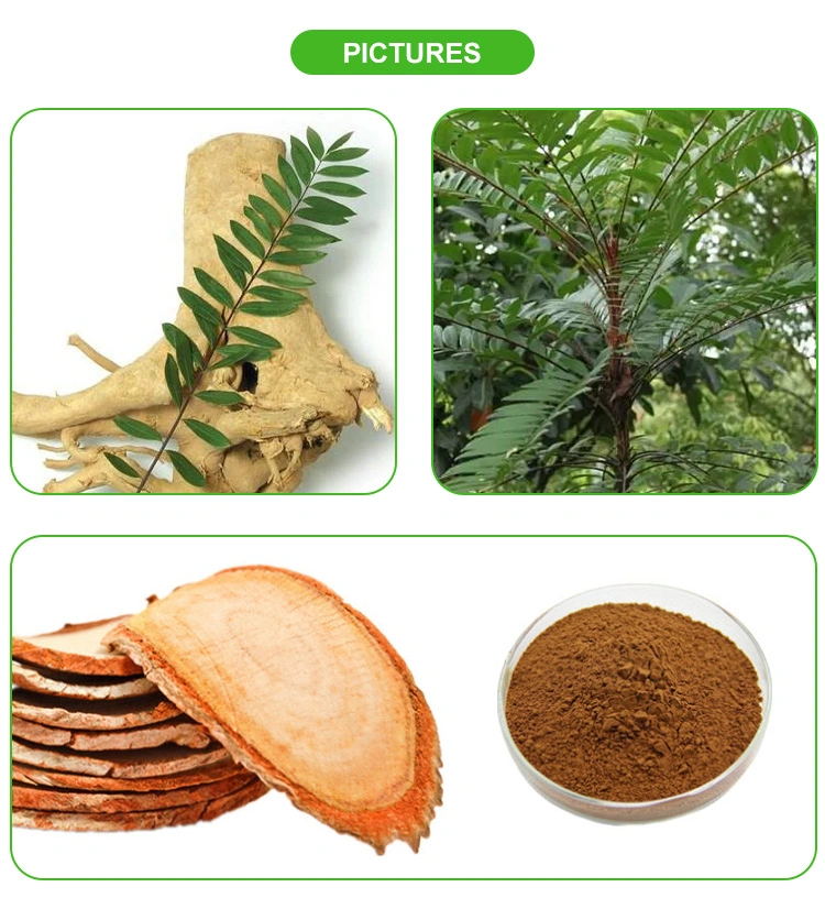 High Quality Natural Plant Health Supplement Eurycomanone 1-5% Tongkat Ali Extract