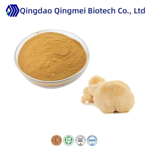Manufacturer of Best Price High Quality Lion&prime;s Mane Mushroom Extract