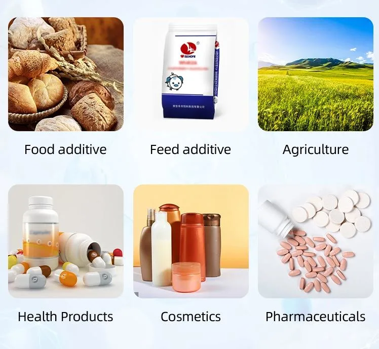 Lactobacillus Rhamnosus 200 Billion Probiotic Powder Food Nutraceutical Supplements