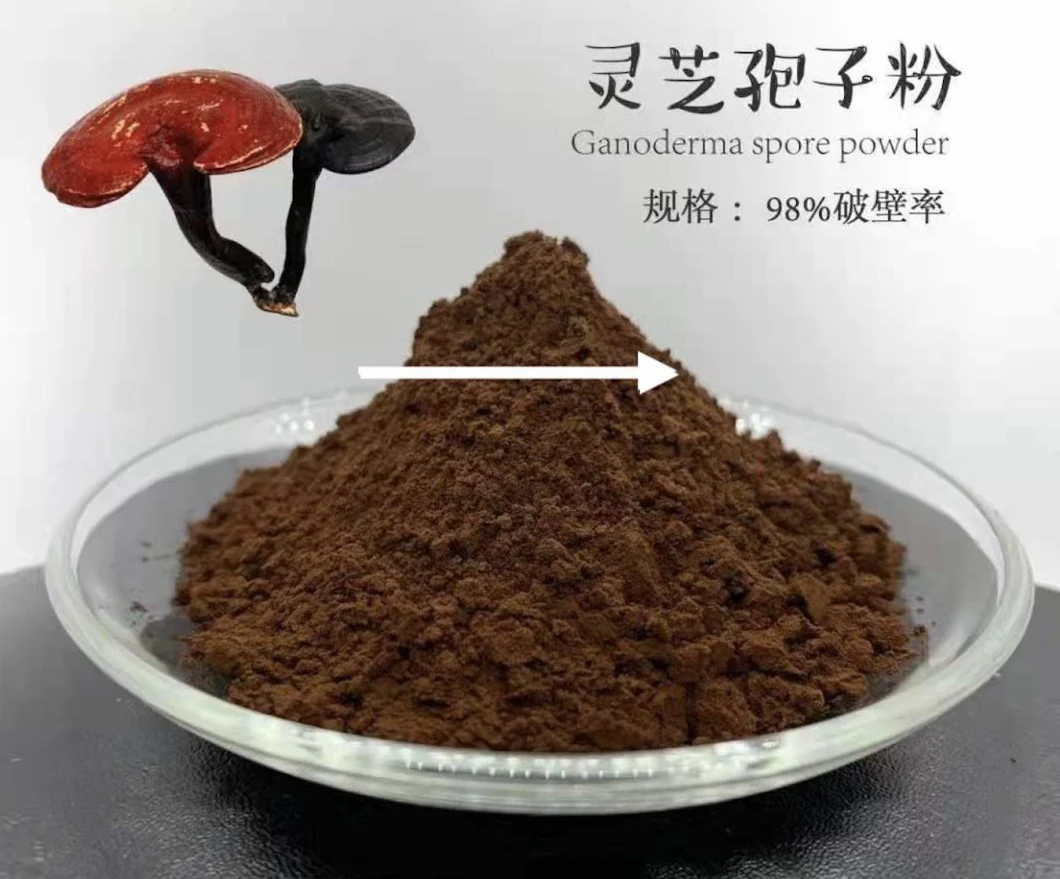 Ganoderma Lucidum Powder Reishi Mushroom Extract Ganoderma Spore Powder