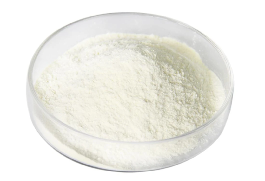 Freeze-Dried Lactobacillus Probiotics Powder 20-800 Billion Cfu/G for Dairty Products