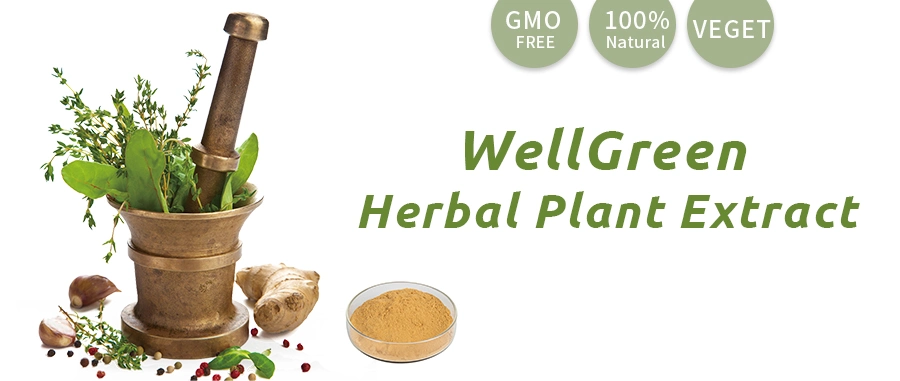 Wellgreen Manufacturer Supply Herbal Murrill Murill Mushroom Powder Agaricus Blazei Extract