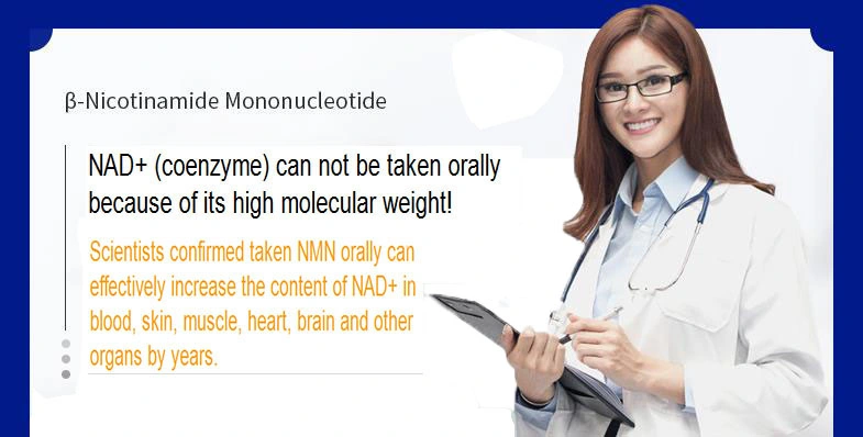 Enzymatic Nmn /Syntetic Nmn New Product Anti-Aging Series Beta-Nicotinamide Adenine Dinucleotide /Nad /Nmn/Nr/Nadh