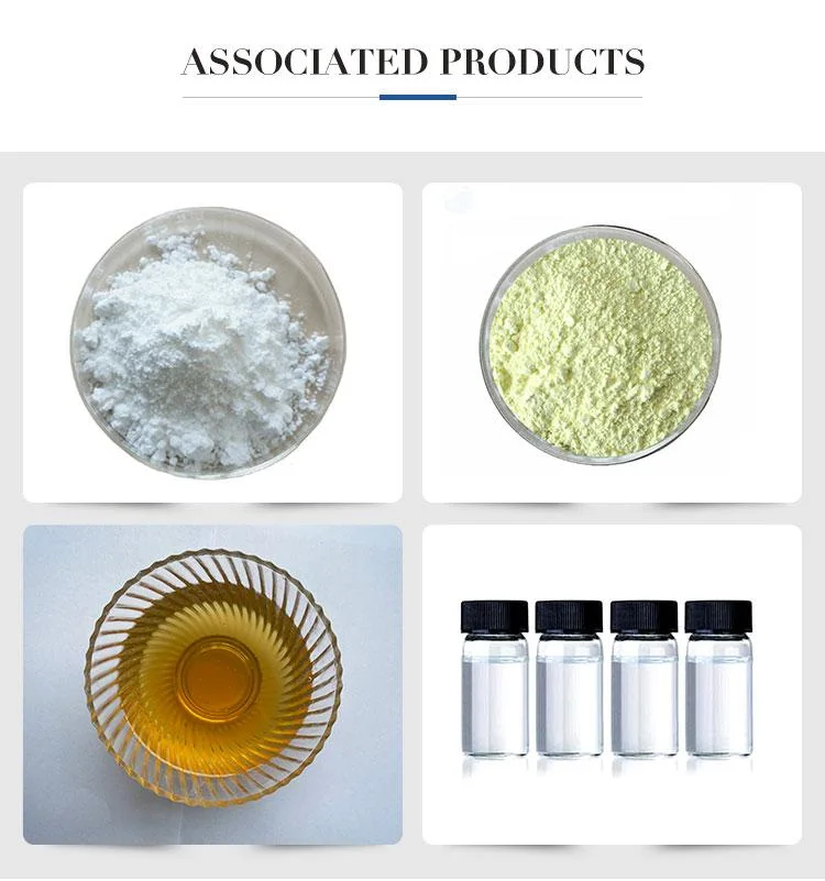 Manufactory Supply Adenosine Triphosphate / Adenosine / CAS 56-65-5