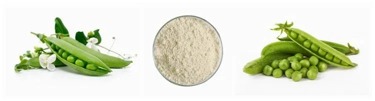Raw Material Pea Isolate Protein Peptide Collagen Hydrolysate Powder Pea Peptide Powder for Anti-Aging&Beauty