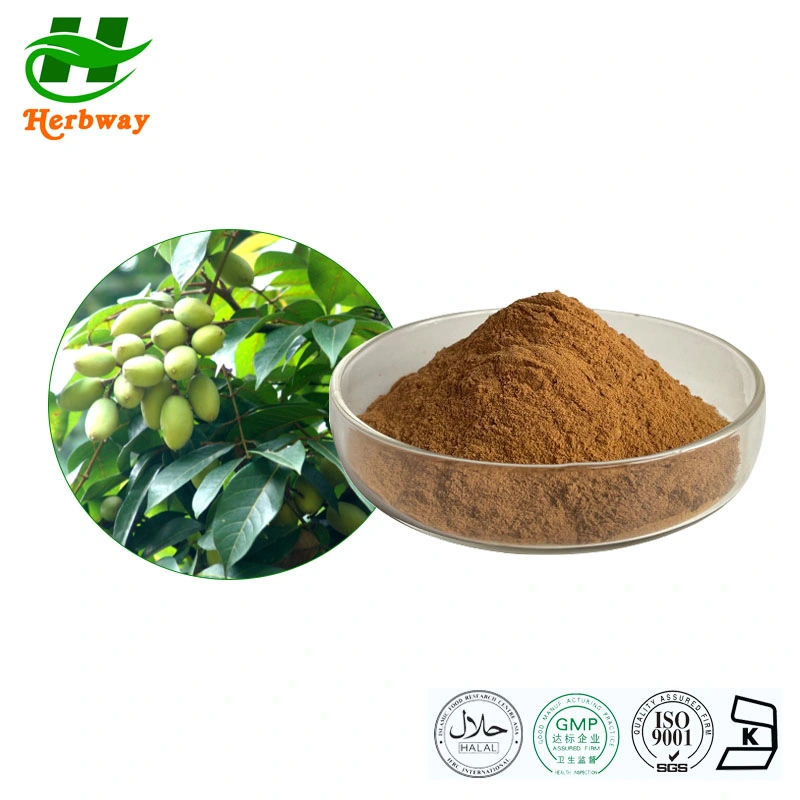 Herbway Free Sample Factory Direct Sale Natural Herb Plant Extract Powder Olea Europea L 20% 40% Oleuropein 10% 20% Hydroxytyrosol Olive Leaf Extract