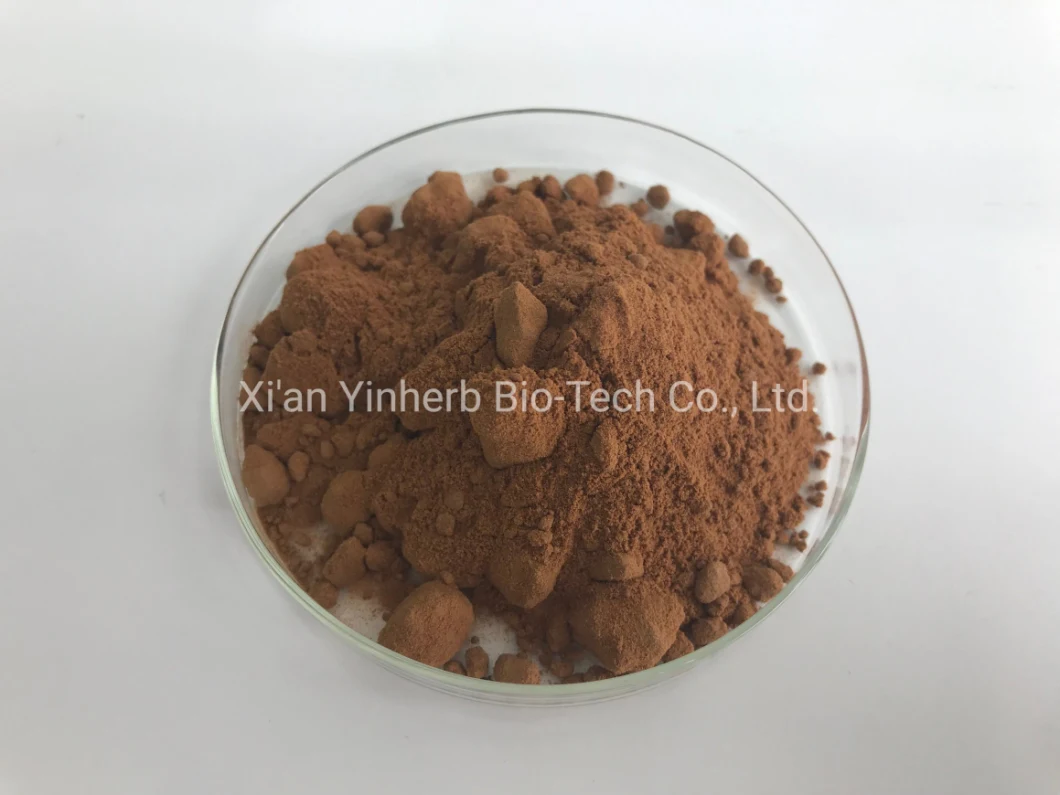 Professional Production and Wholesale Cordyceps Sinensis Extract / Super Lion&prime; S Mane Mushroom