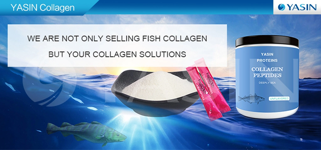 Fish Collagen Peptides Protein
