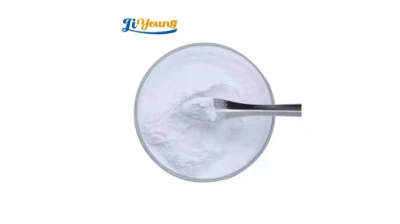 Antioxidant Supplements CAS 303-98-0 Water Soluble Ubiquinol Coenzyme Q10 Powder
