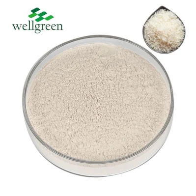 Food Grade Hydrolyzed Organic Isolate Concentrate Purple Peptide White Rice Protein