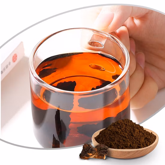 Factory Supply Natural Plant; Chaga Extract Powder; Chaga Mushroom; Inonotus Obliquus Extract