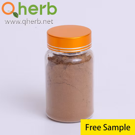 Herbal Medcine Grifola Frondosa Maitake Mushroom Extract
