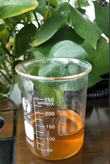 Manufacturer of Best Price High Quality Lion′s Mane Mushroom Extract