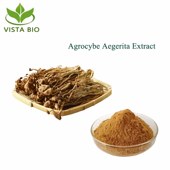 High Quality Good Price Polysaccharides10%-50% Agrocybe Aegerita Extract Tea Tree Mushroom Extract