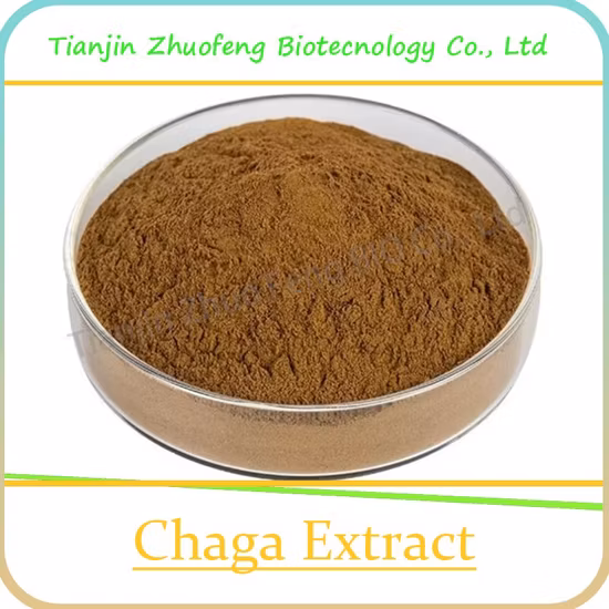 Dietary Supplement Siberian Chaga Extract Chaga Mushroom Extract Powder Chaga Extract