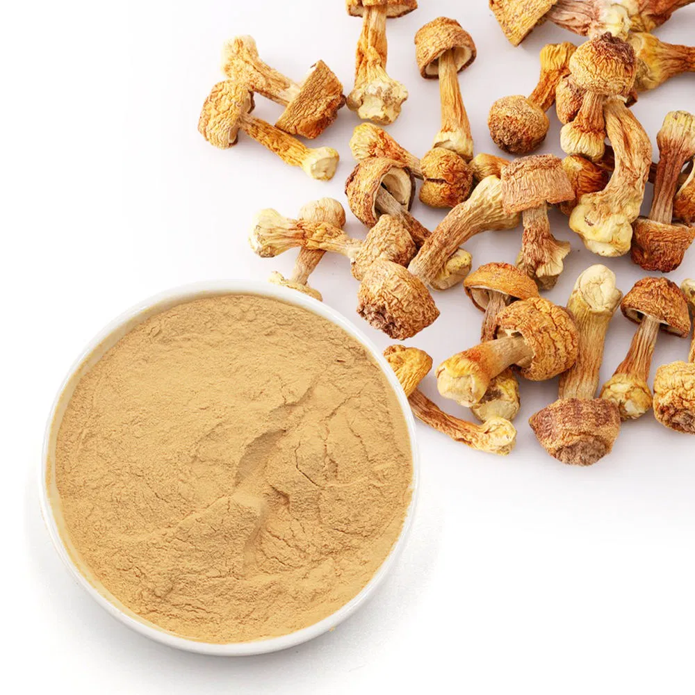 Wellgreen Manufacturer Supply Herbal Murrill Murill Mushroom Powder Agaricus Blazei Extract