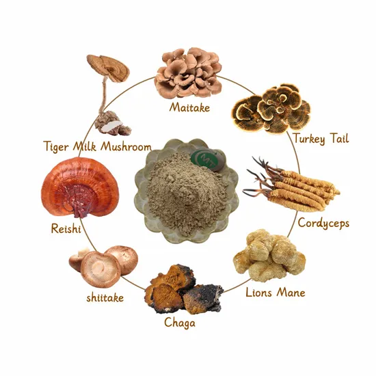 Birch Mushroom Extract Chaga Mushroom Powder High Quality Orangic Powder
